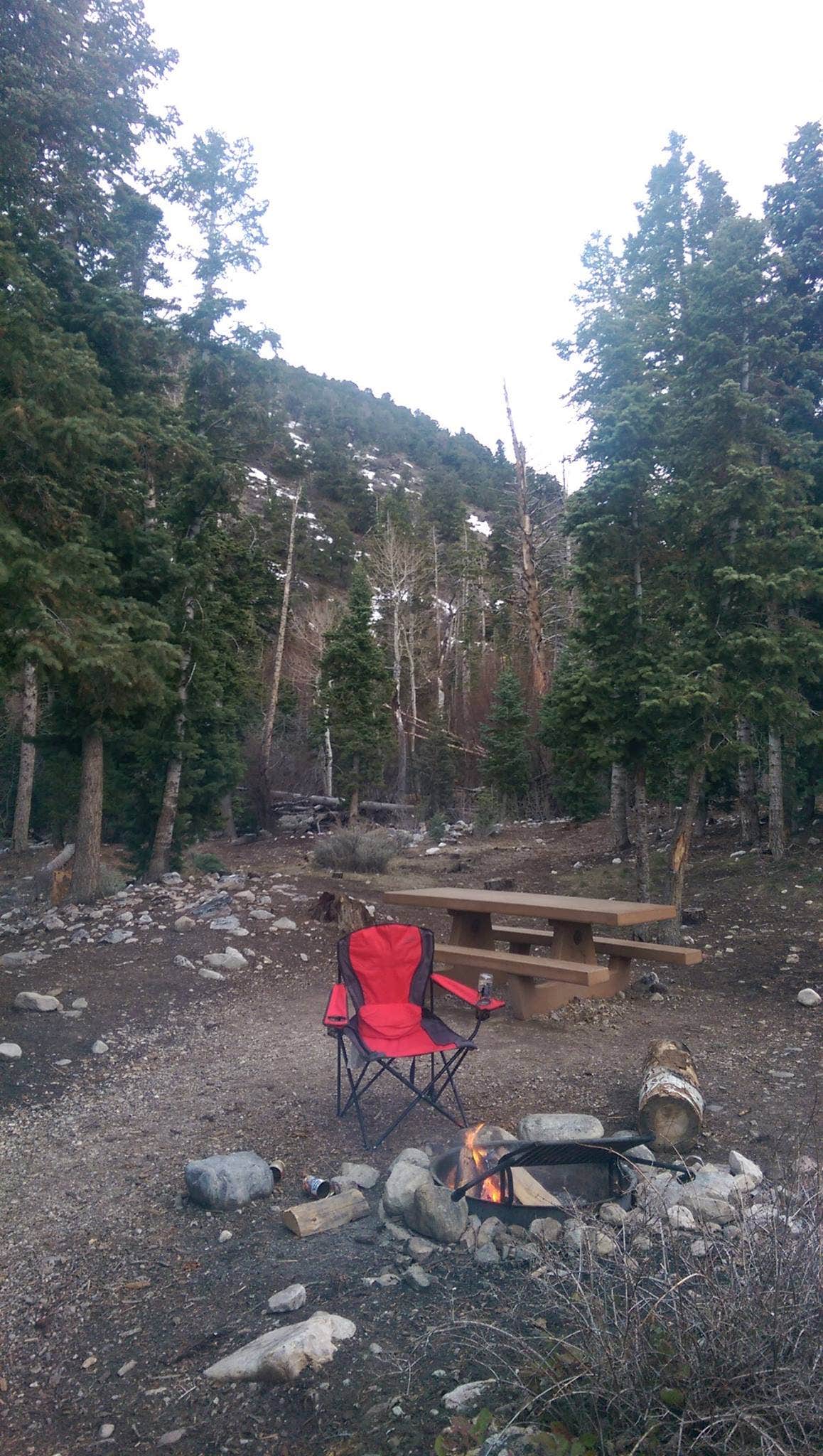 Michael J.'s photo at Baker Creek Campground — Great Basin National Park near Great Basin National Park