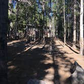 Review photo of Canyon Campground — Yellowstone National Park by Celina M., July 31, 2018
