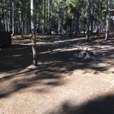 Review photo of Canyon Campground — Yellowstone National Park by Celina M., July 31, 2018