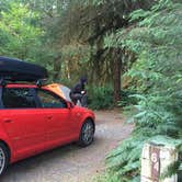 Review photo of Hoh Rain Forest - Olympic National Park by Bill M., June 12, 2015