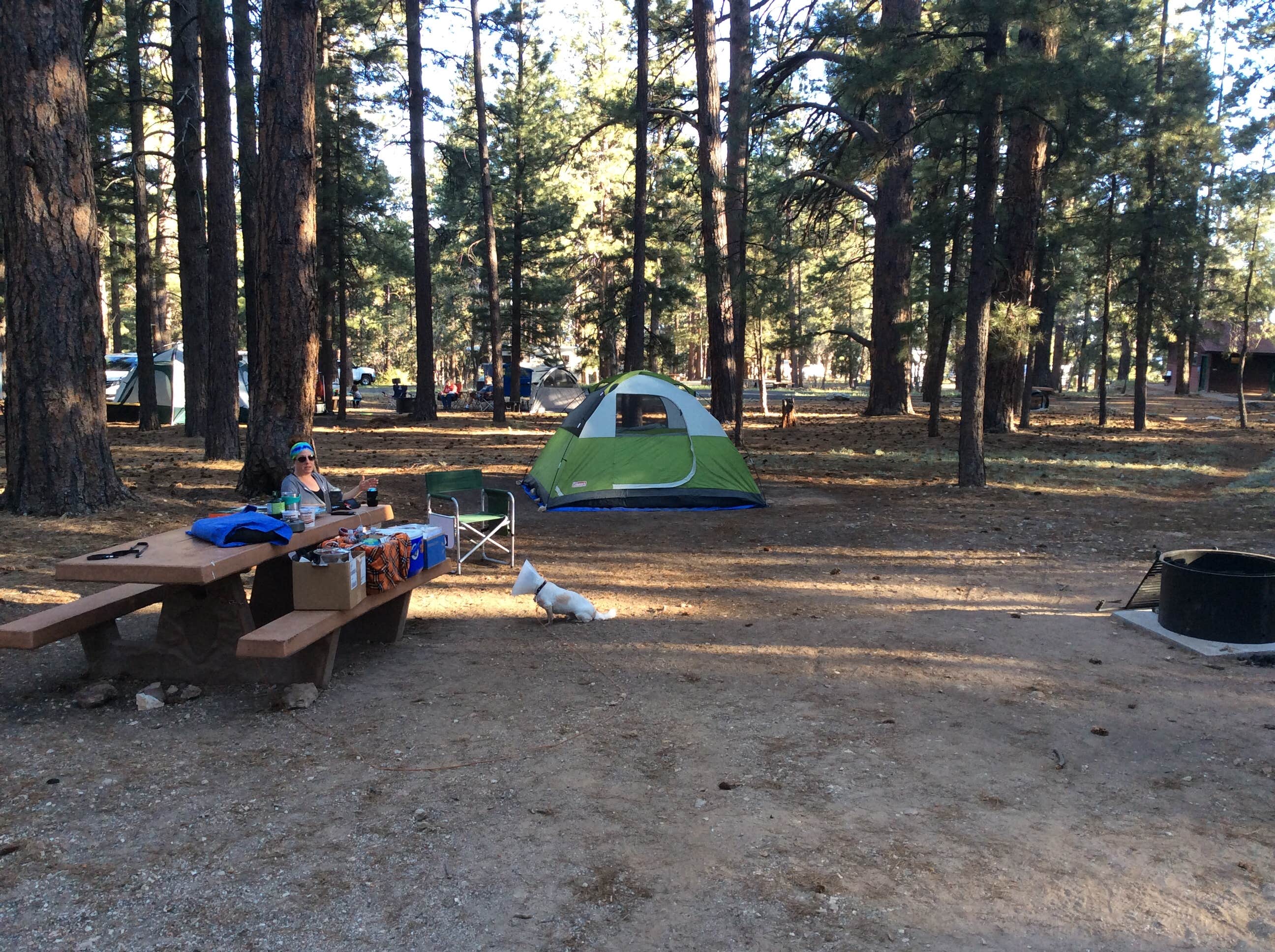 Patrick H.'s photo at North Rim Campground (Closed for Remainder of 2025)— Grand Canyon National Park near Tuba City, AZ
