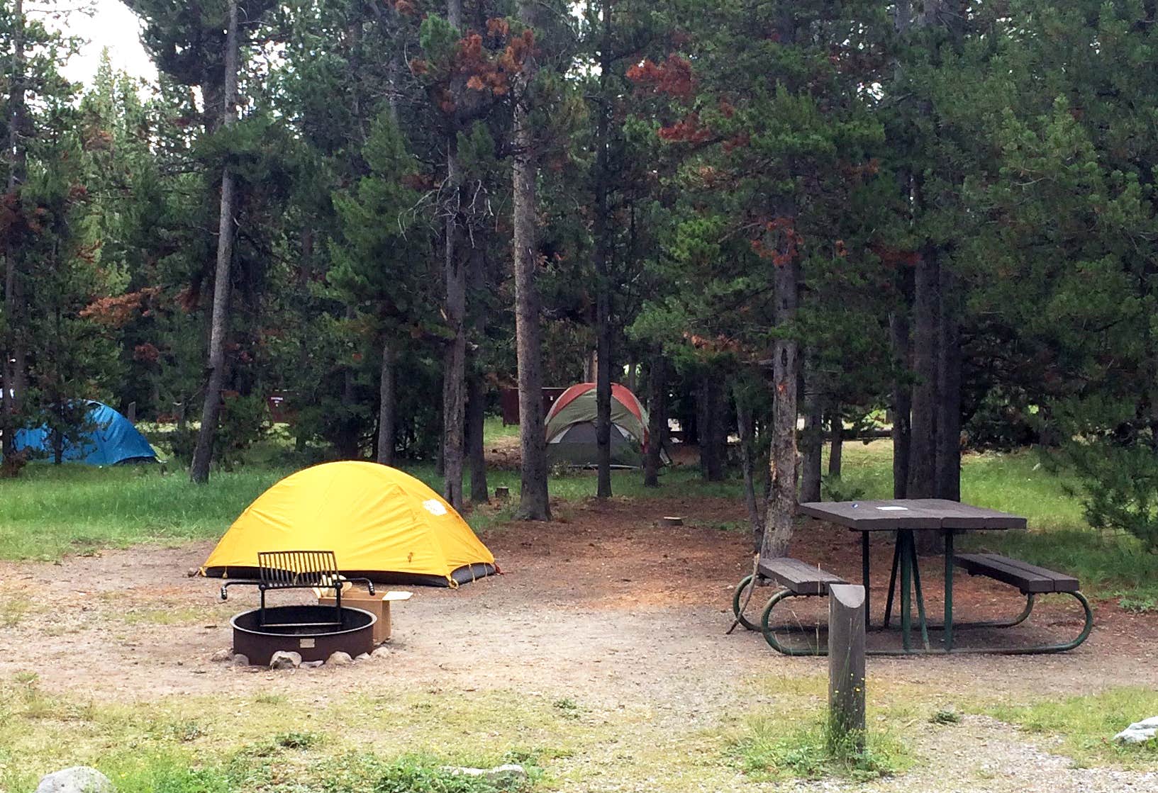 Corinna B.'s photo at Indian Creek Campground — Yellowstone National Park near Yellowstone National Park