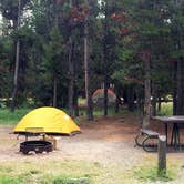 Review photo of Indian Creek Campground — Yellowstone National Park by Corinna B., August 1, 2018