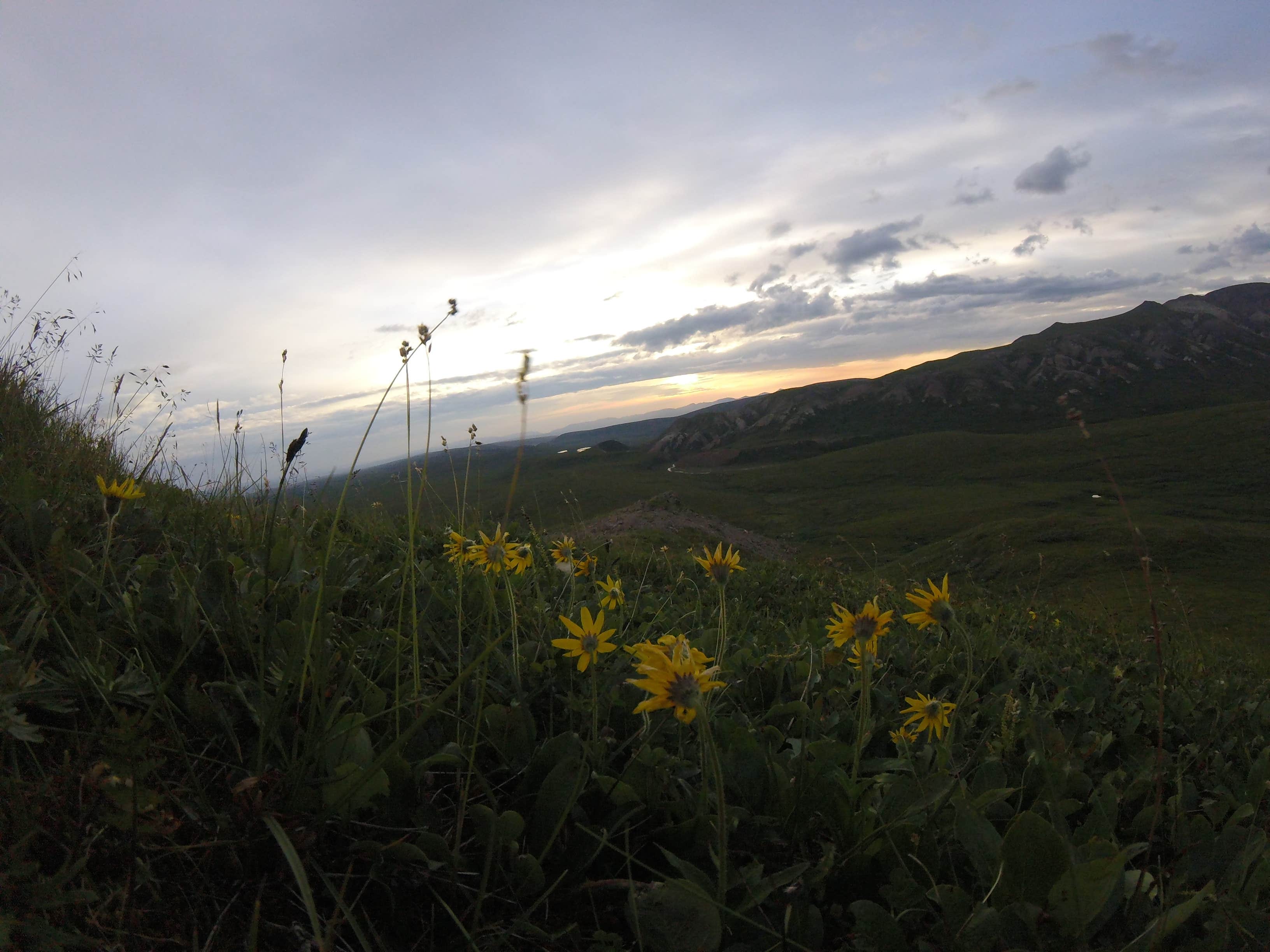 Camper-submitted photo at Backcountry Unit 34: Mount Galen — Denali National Park near Denali National Park and Preserve