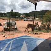 Review photo of Diamond Campground & RV Park by Patrick H., August 1, 2018