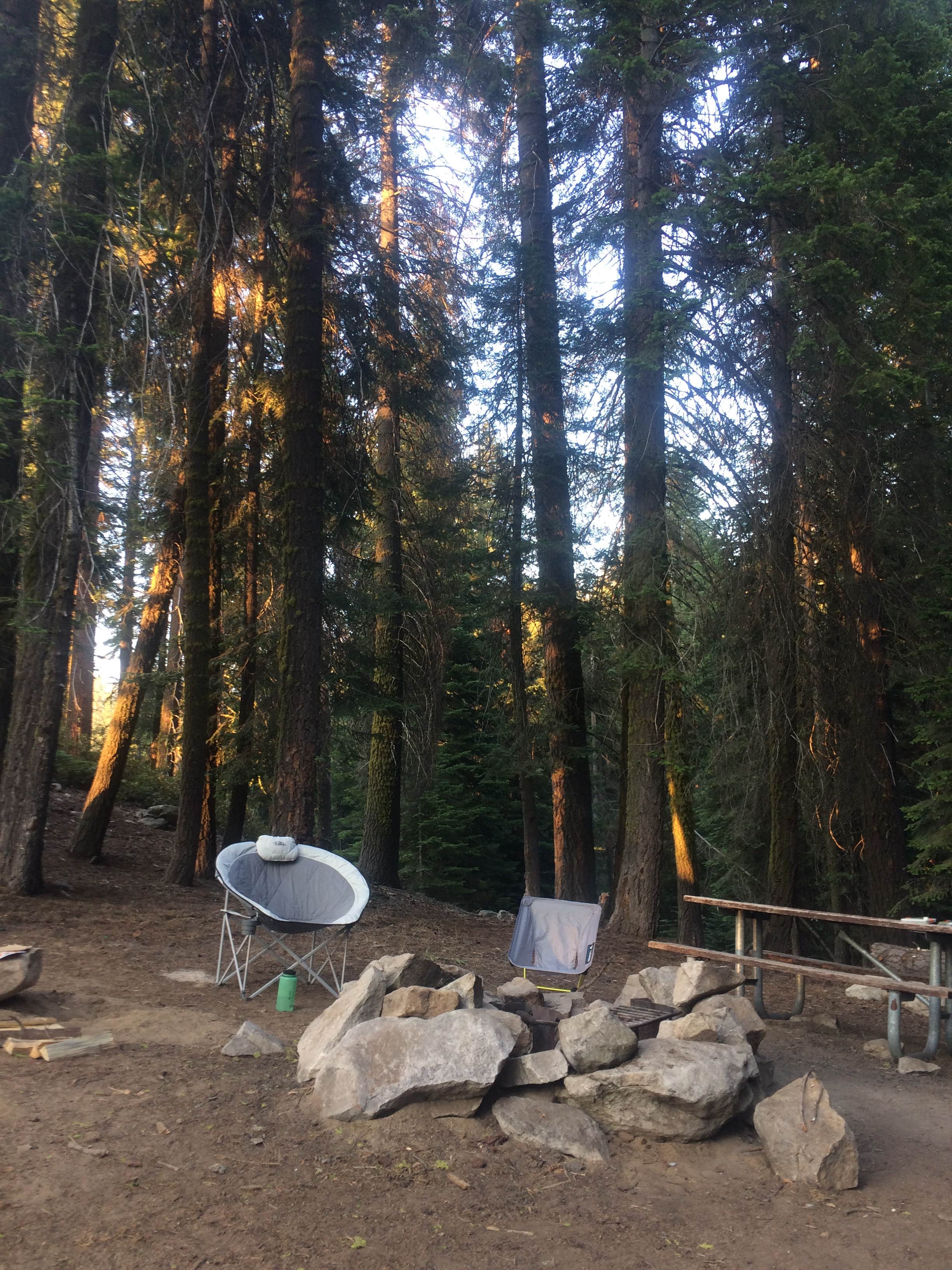 Diana G.'s photo at Dorst Creek Campground — Sequoia National Park - TEMPORARILY CLOSED near Sequoia and Kings Canyon National Parks