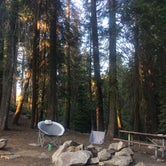 Review photo of Dorst Creek Campground — Sequoia National Park by Diana G., August 1, 2018