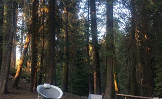 Diana G.'s photo at Dorst Creek Campground — Sequoia National Park - TEMPORARILY CLOSED near Sequoia and Kings Canyon National Parks