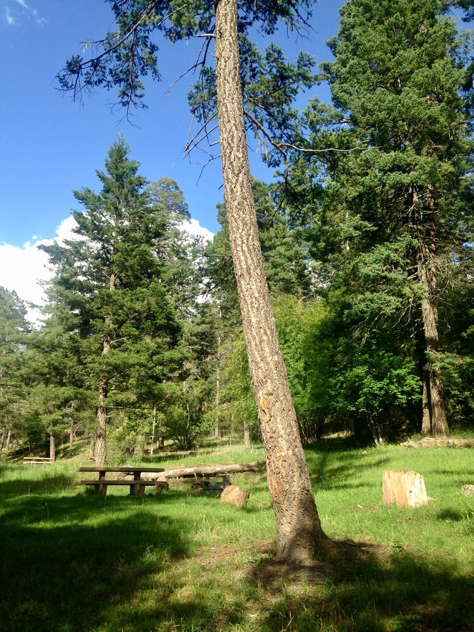 Camper-submitted photo at Deerhead Campground — Lincoln National Forest near Lincoln National Forest