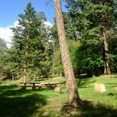 Review photo of Deerhead Campground — Lincoln National Forest by Patrick H., August 1, 2018