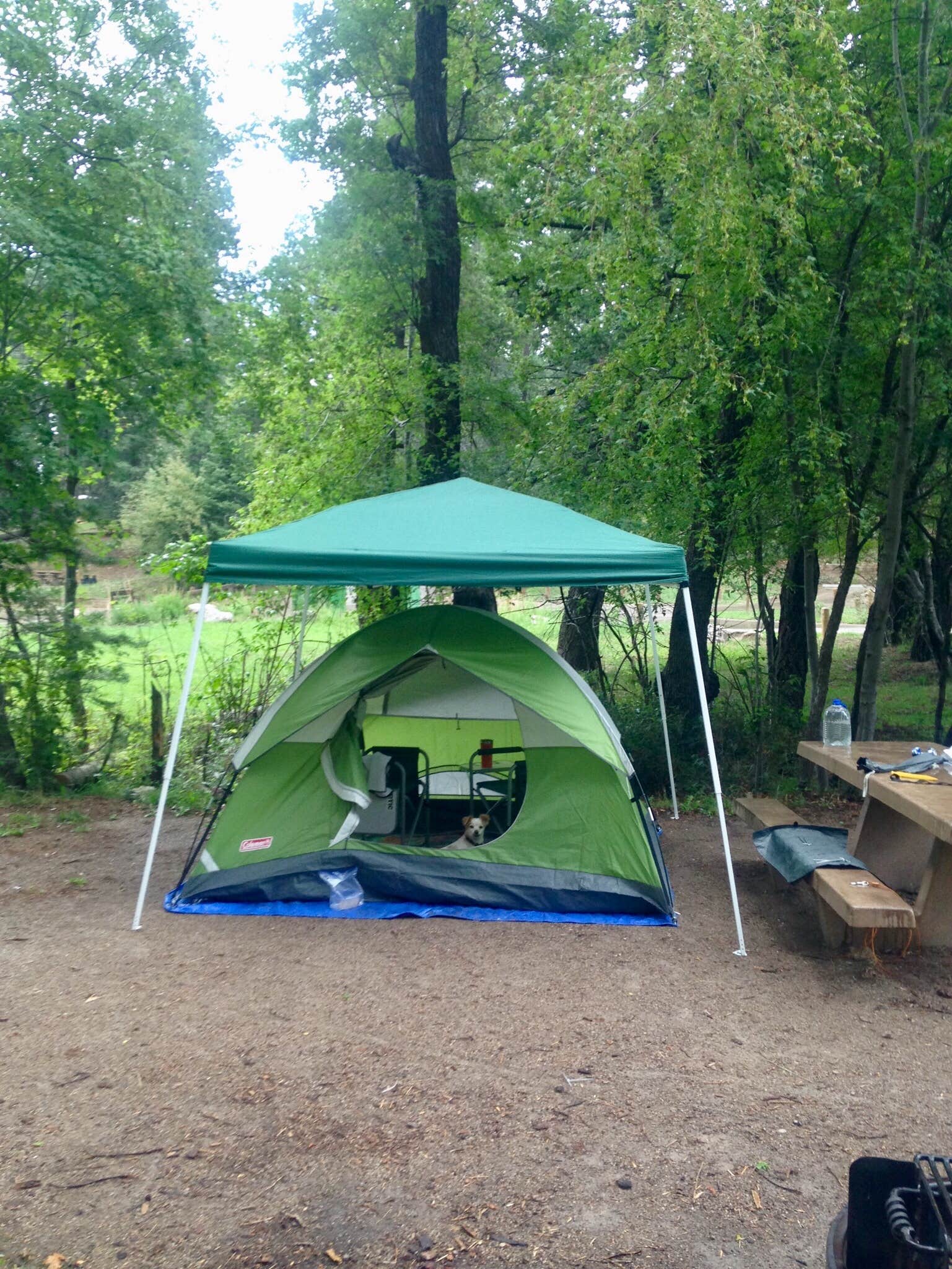 Camper-submitted photo at Deerhead Campground — Lincoln National Forest near Lincoln National Forest