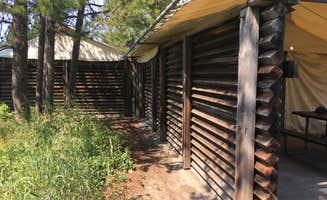 Celina M.'s photo of glamping accommodations at Colter Bay RV Park at Colter Bay Village — Grand Teton National Park near Jackson, WY