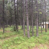 Review photo of Colter Bay Village (Cabins and Tent Cabins) by Celina M., August 1, 2018