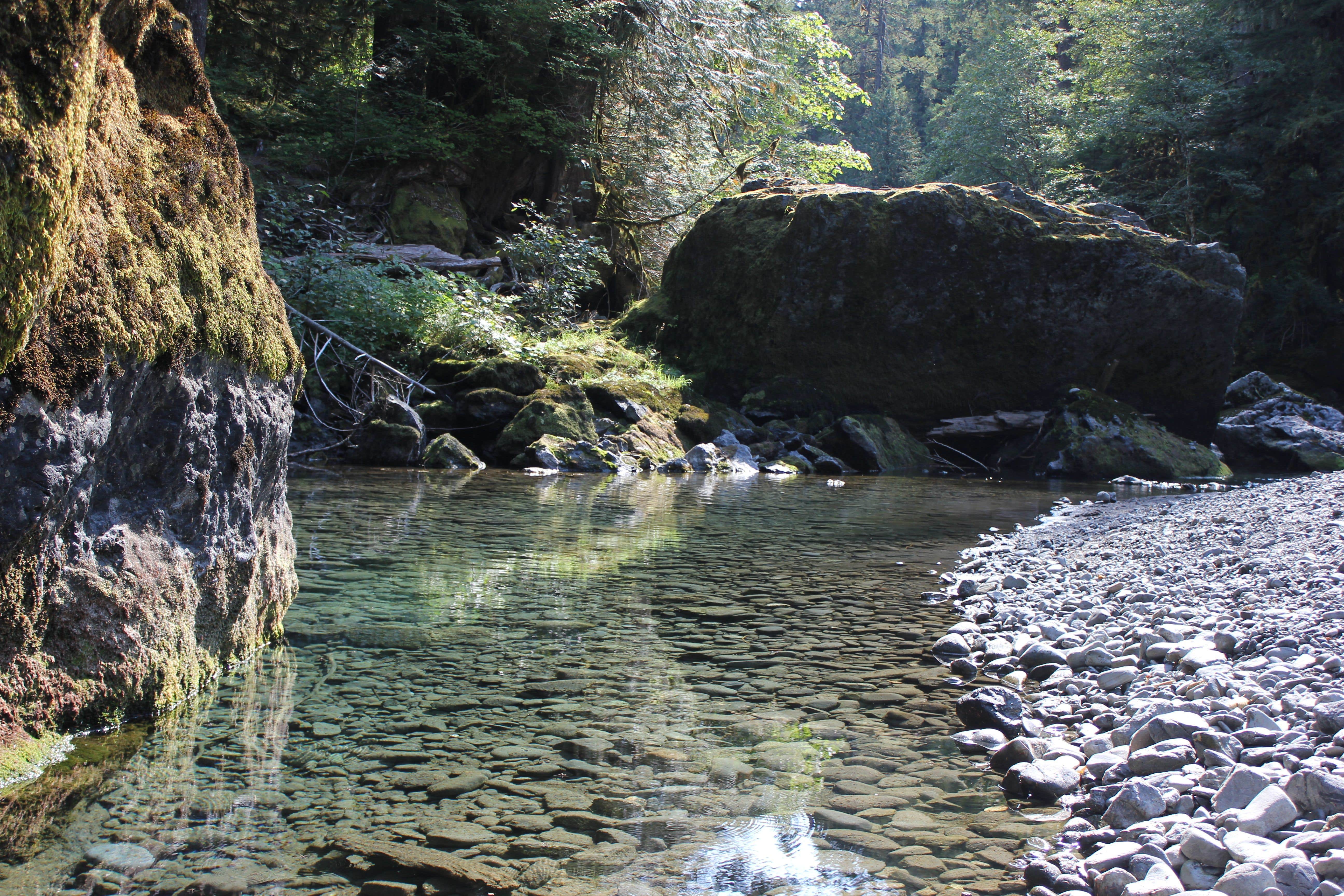 Camper submitted image from Staircase Campground — Olympic National Park - 3