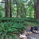 Review photo of Hoh Rain Forest - Olympic National Park by Bill M., June 12, 2015
