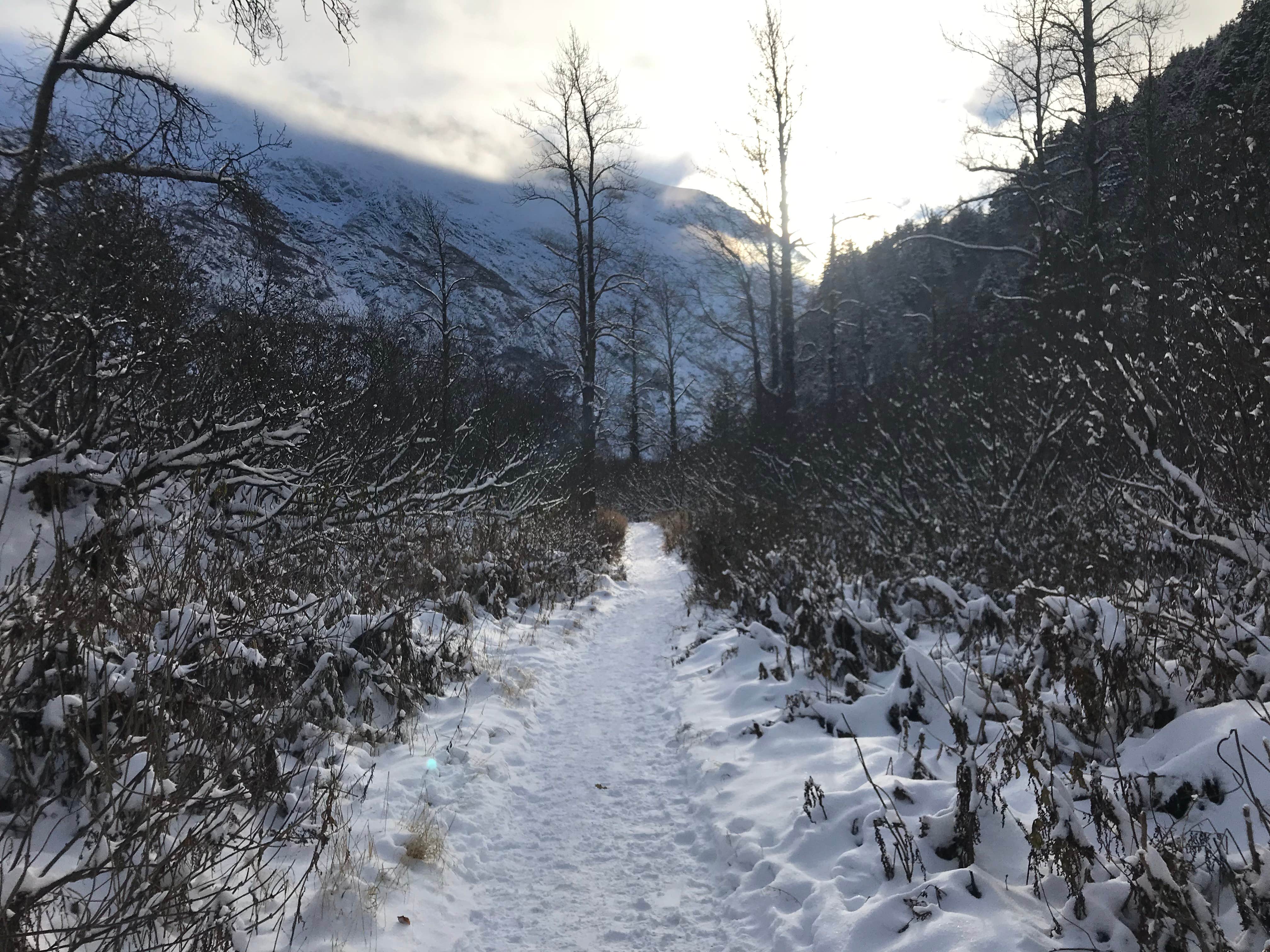 Camper submitted image from Chugach Backcountry Camping - 2