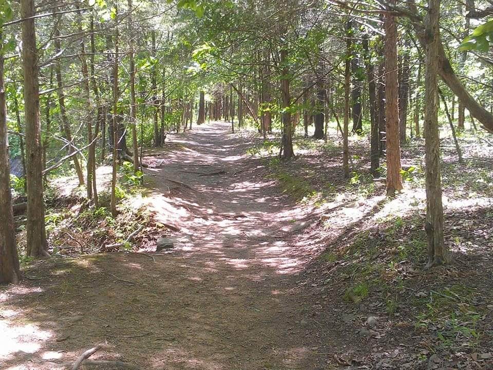 Camper submitted image from Devil's Den State Park Campground - 2