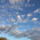 Review photo of Monument Lake Campground — Big Cypress National Preserve by Jessica S., August 1, 2018