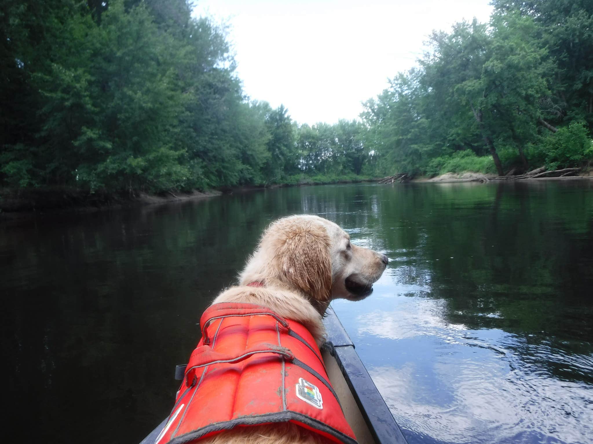 Camper submitted image from River Run Campground - 4