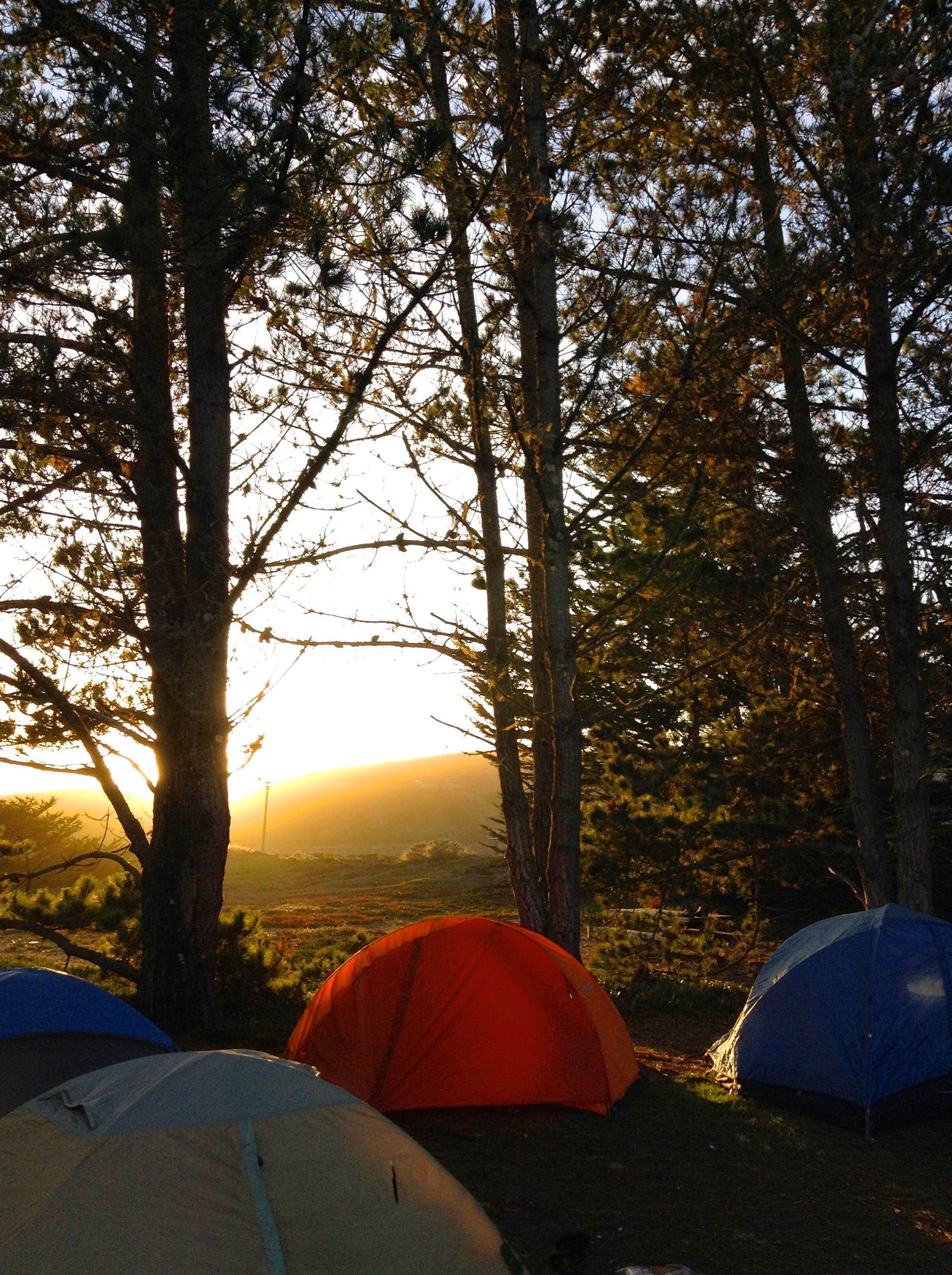 Kelly M.'s photo at Doran Regional Park near Sebastopol, CA