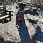 Review photo of High Cliff State Park Campground by Jay W., July 17, 2018