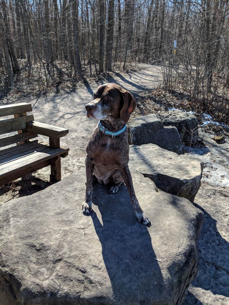 Camper submitted image from High Cliff State Park Campground - 4