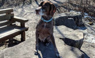 Jay W.'s photo of camping with pets at High Cliff State Park Campground near Menasha, WI