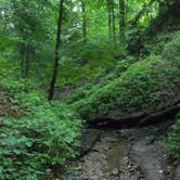 Review photo of Shades State Park Campground by Thomas U., August 1, 2018