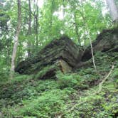 Review photo of Shades State Park Campground by Thomas U., August 1, 2018