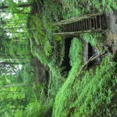 Review photo of Shades State Park Campground by Thomas U., August 1, 2018