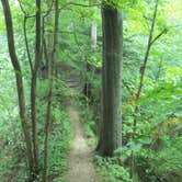 Review photo of Shades State Park Campground by Thomas U., August 1, 2018