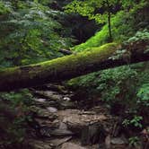 Review photo of Shades State Park Campground by Thomas U., August 1, 2018