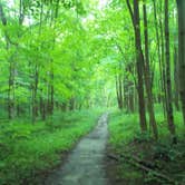 Review photo of Shades State Park Campground by Thomas U., August 1, 2018