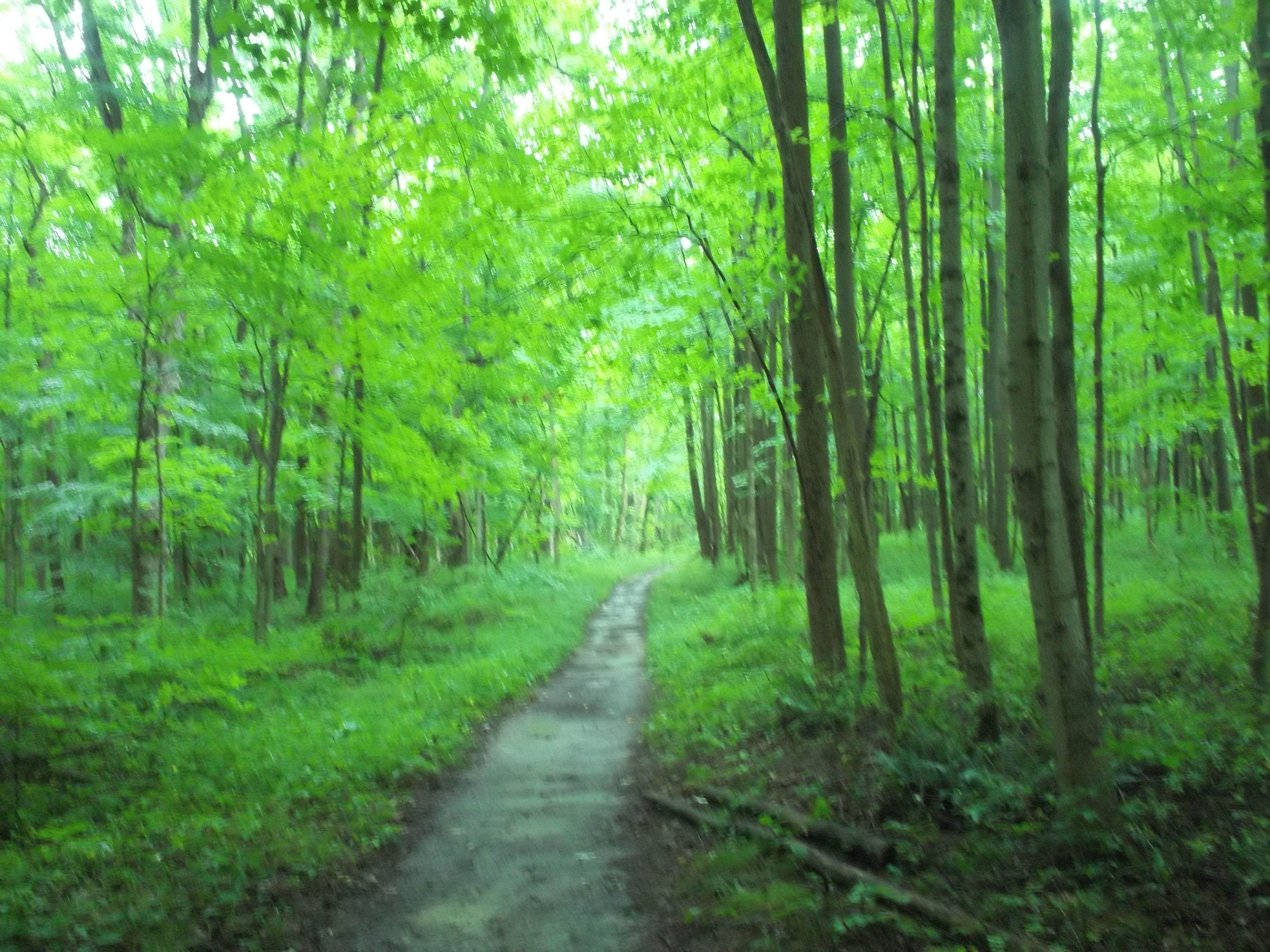 Camper submitted image from Shades State Park Campground - 3