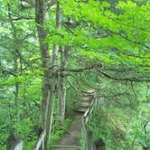 Review photo of Shades State Park Campground by Thomas U., August 1, 2018