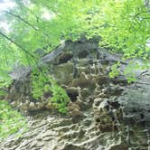 Review photo of Shades State Park Campground by Thomas U., August 1, 2018