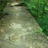 Review photo of Shades State Park Campground by Thomas U., August 1, 2018