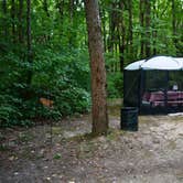 Review photo of Shades State Park Campground by Thomas U., August 1, 2018