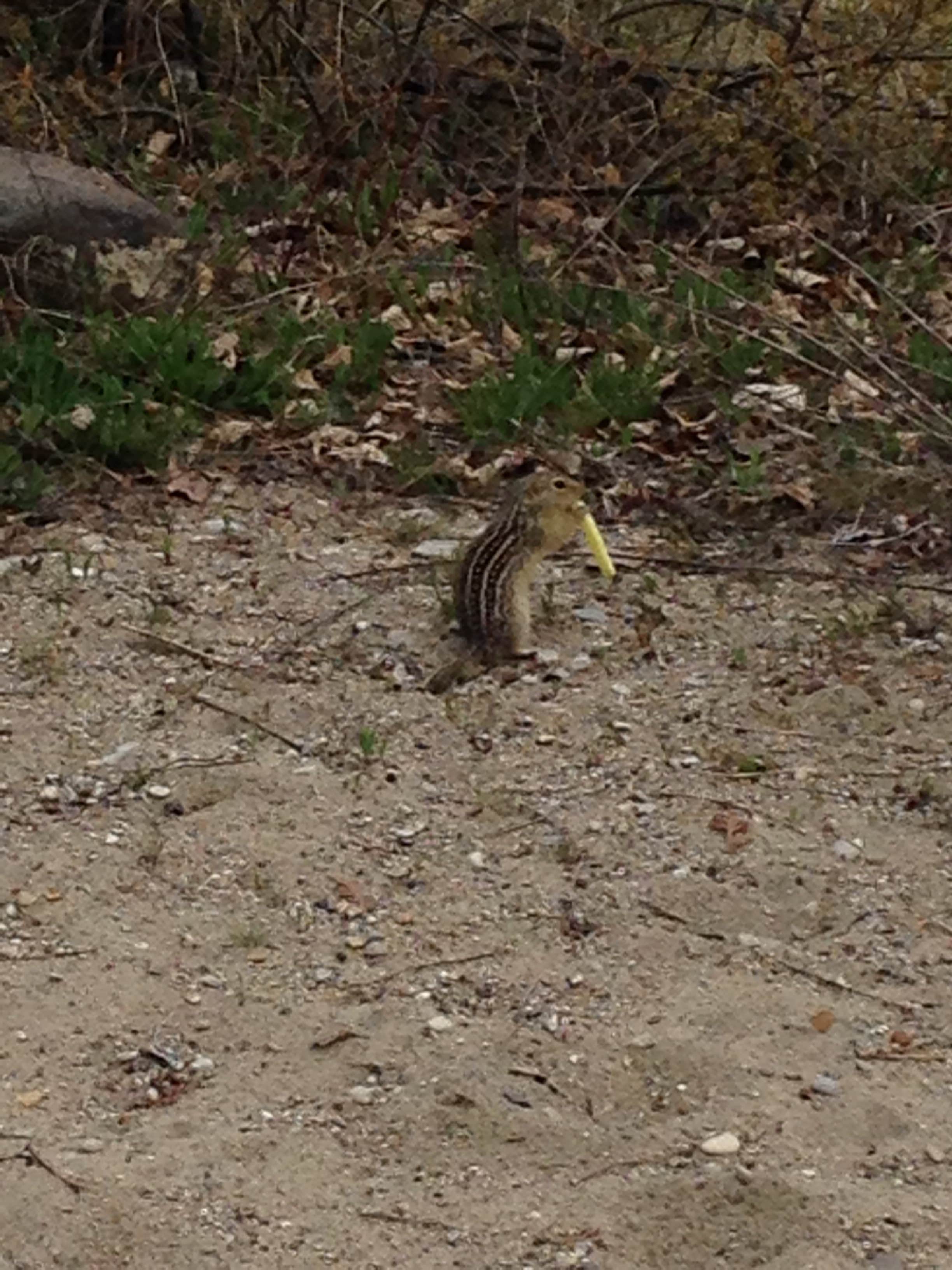 Camper-submitted photo at Leelanau State Park Campground near Maple City, MI