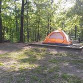 Review photo of Devil's Den State Park Campground by Melanie W., July 29, 2016