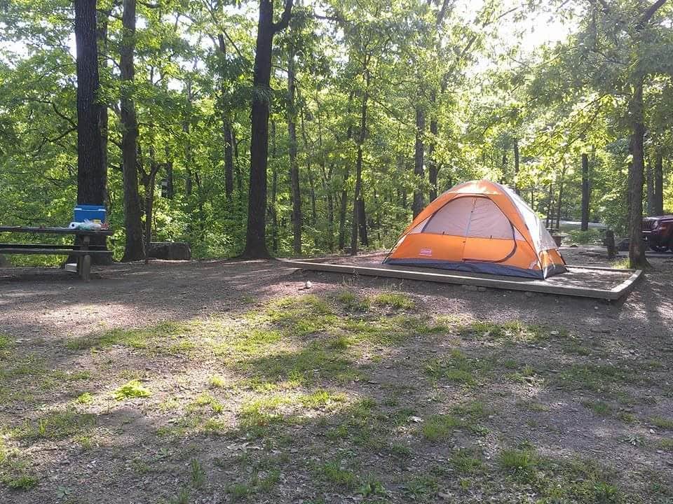 Camper submitted image from Devil's Den State Park Campground - 3