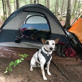 Review photo of Wilderness Campground at Heart Lake by Tigan W., August 1, 2018