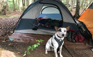 Tigan W.'s photo at Wilderness Campground at Heart Lake near Saranac Lake, NY