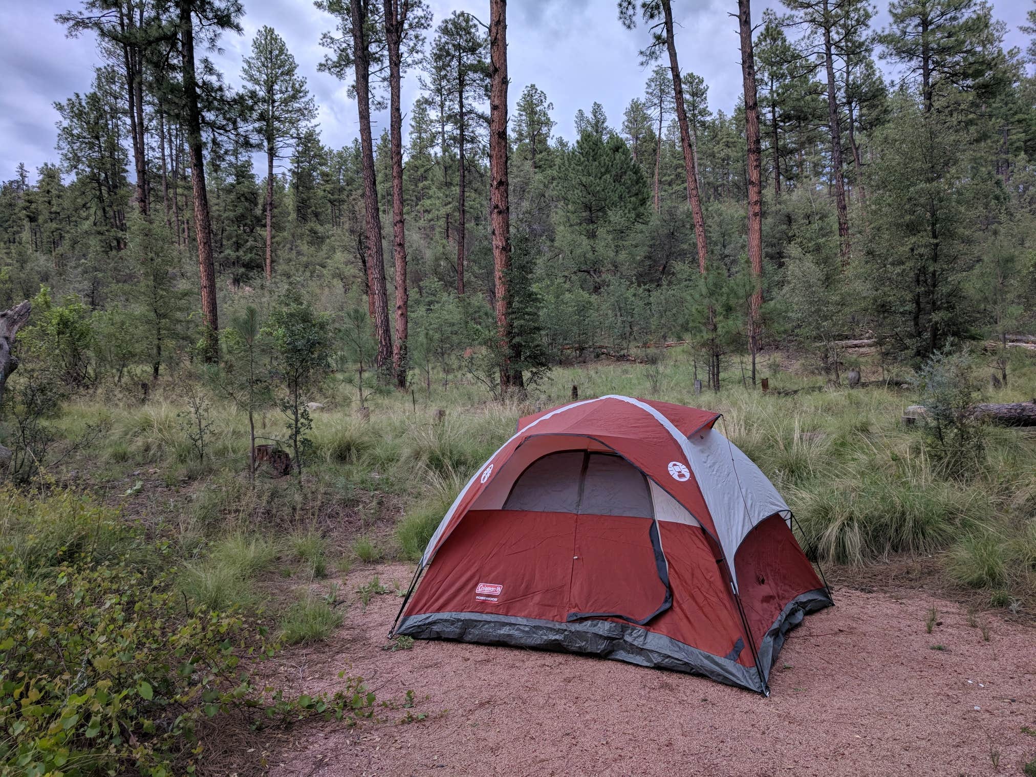 Cameron A.'s photo of tent camping at Lower Tonto Creek near Heber-Overgaard, AZ