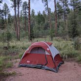 Review photo of Lower Tonto Creek by Cameron A., August 1, 2018