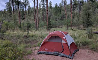 Cameron A.'s photo at Lower Tonto Creek near Kohls Ranch, AZ