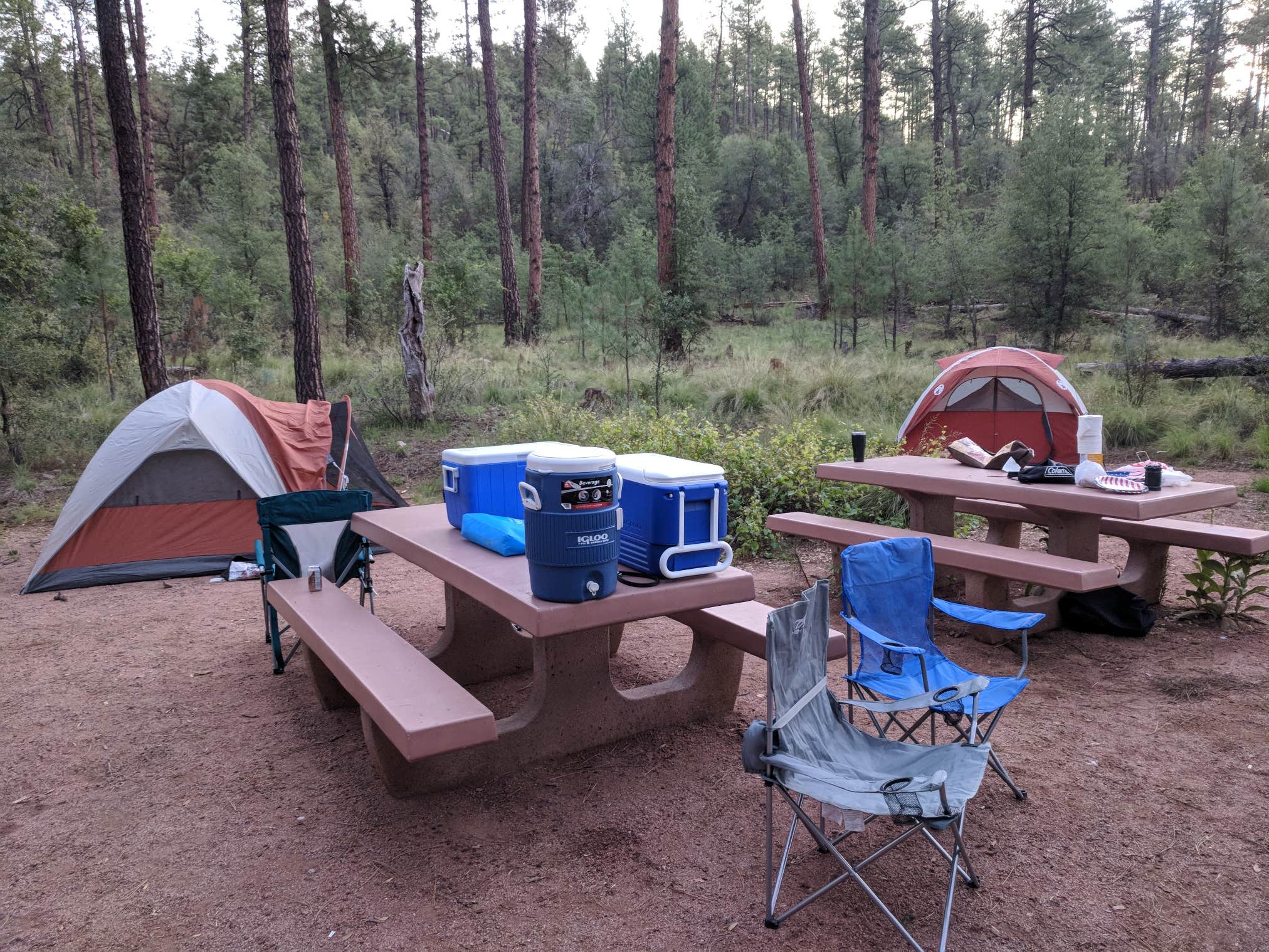 Camper submitted image from Lower Tonto Creek - 3