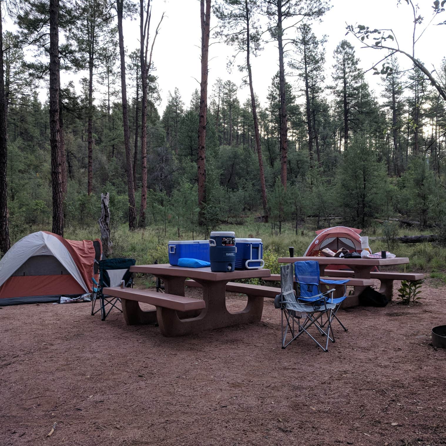 Tonto Creek Camping The Dyrt