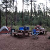 Review photo of Tonto Creek by Cameron A., August 1, 2018