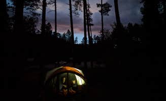 Cameron A.'s photo at Lower Tonto Creek near Sun Valley, AZ
